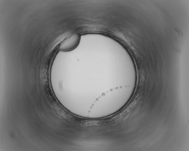 X0000113121211200909181642