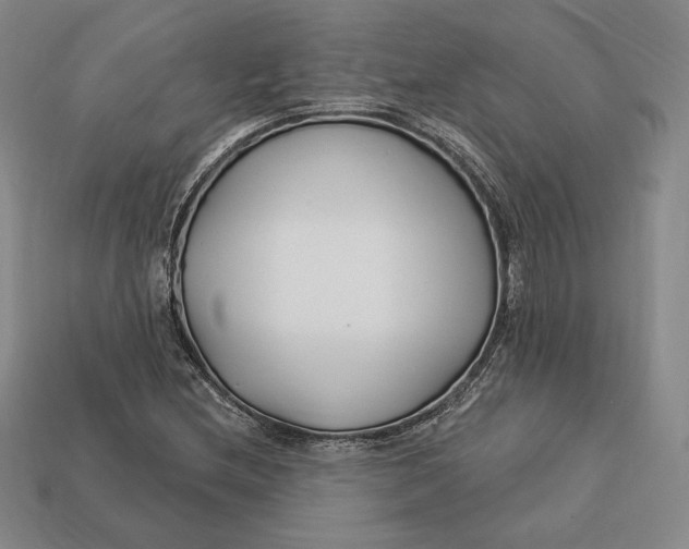 X0000113121212200909181642