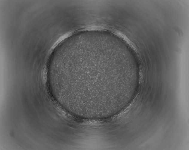 X0000113121213200909181642