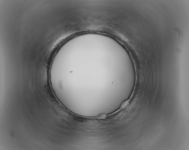 X0000113121214200909181642