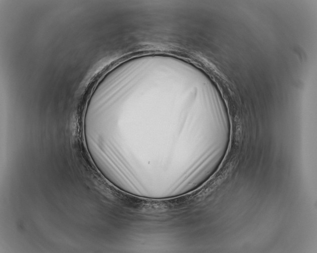 X0000113121215200909181642