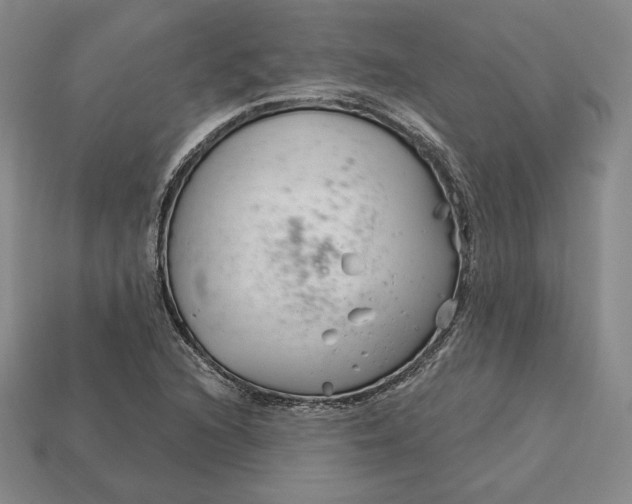 X0000113121216200909181642