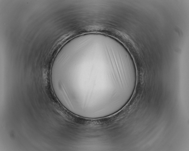 X0000113121217200909181642