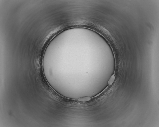 X0000113121218200909181642