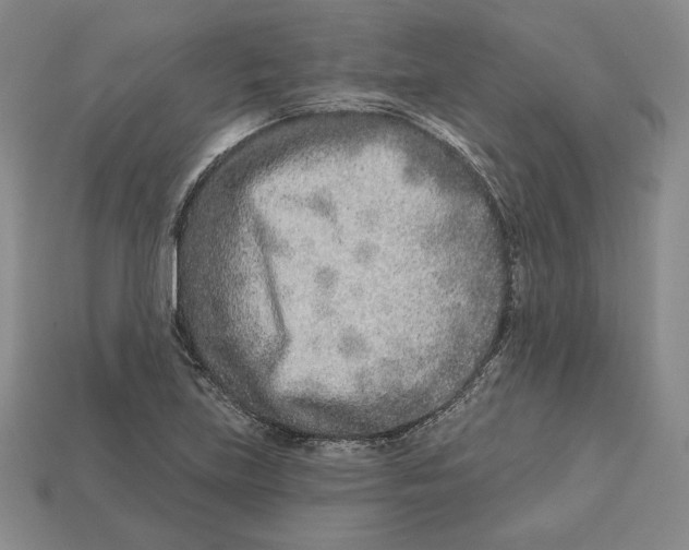 X0000113121219200909181642