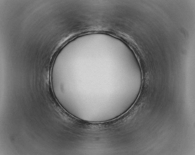 X0000113121220200909181642