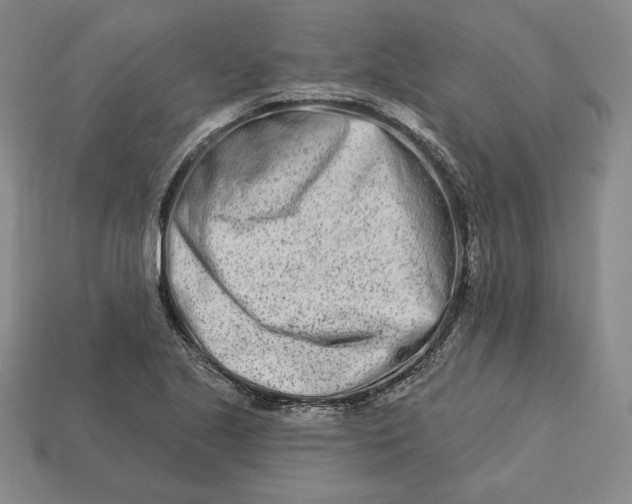 X0000113121221200909181642