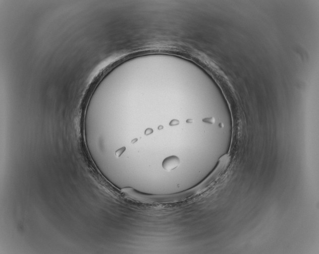 X0000113121222200909181642