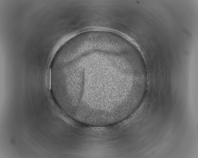 X0000113121223200909181642