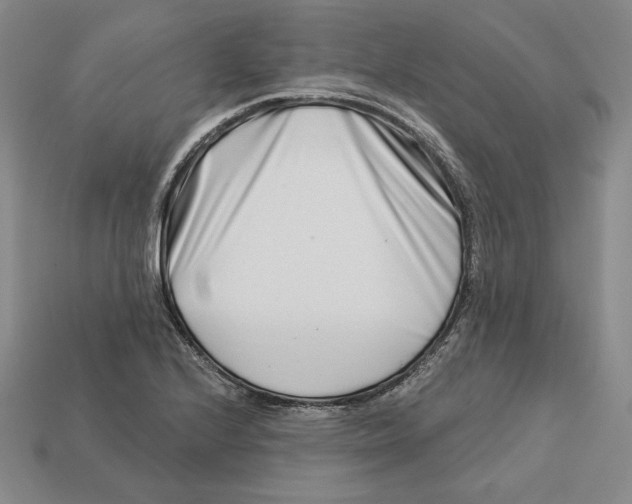 X0000113121224200909181642