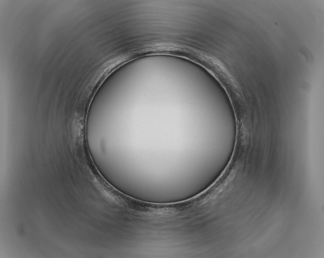 X0000113121225200909181642