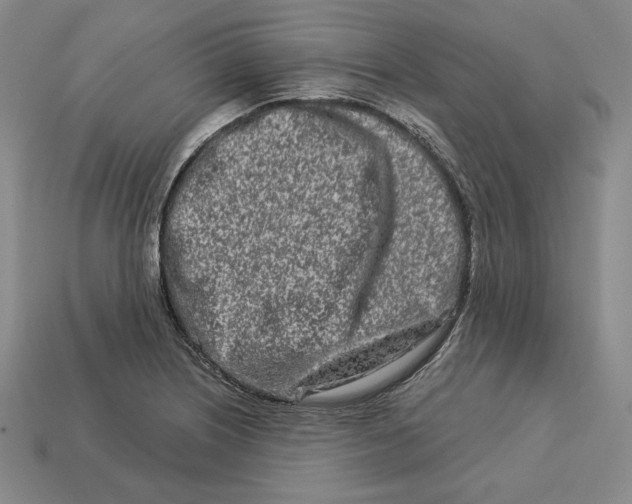 X0000113121226200909181642