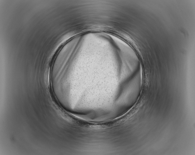 X0000113121227200909181642