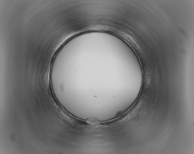 X0000113121228200909181642