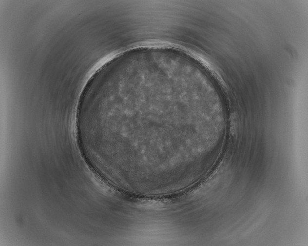 X0000113121229200909181642