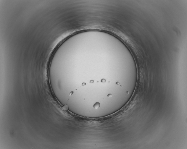 X0000113121230200909181642