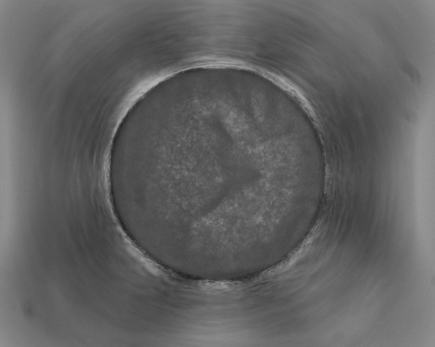 X0000113121231200909181642