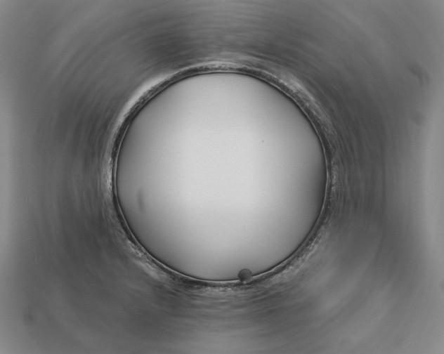 X0000113121232200909181642