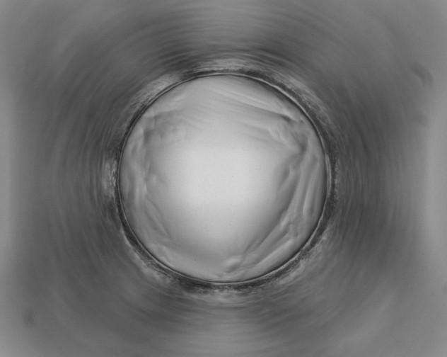 X0000113121233200909181642