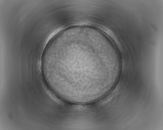 X0000113121234200909181642