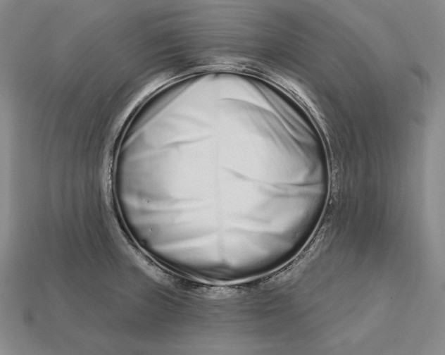 X0000113121235200909181642