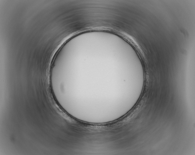 X0000113121236200909181642