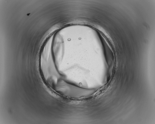 X0000113121237200909181642