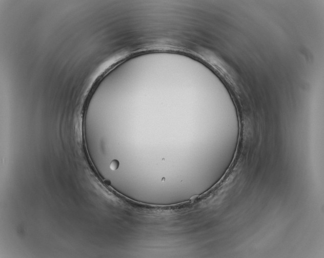 X0000113121238200909181642