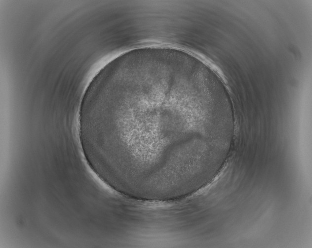 X0000113121239200909181642