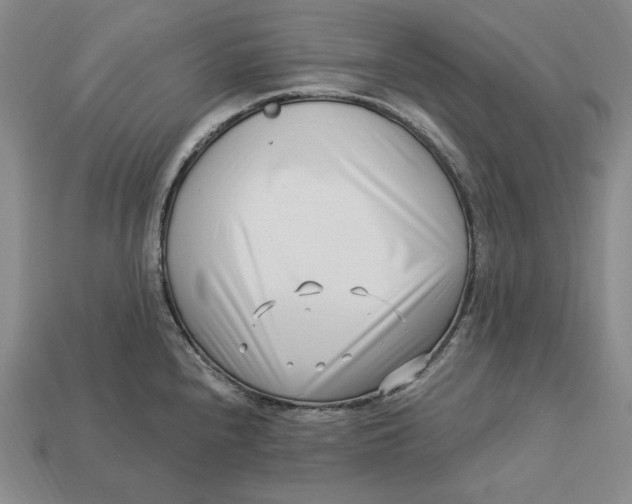 X0000113121240200909181642