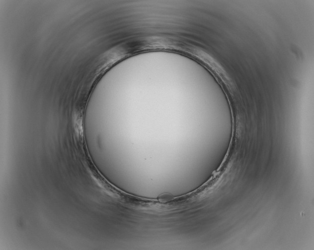 X0000113121241200909181642