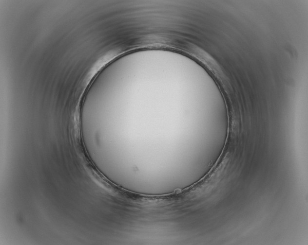 X0000113121242200909181642