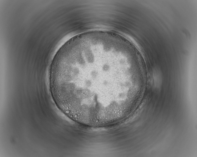 X0000113121243200909181642