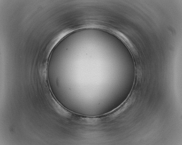 X0000113121244200909181642