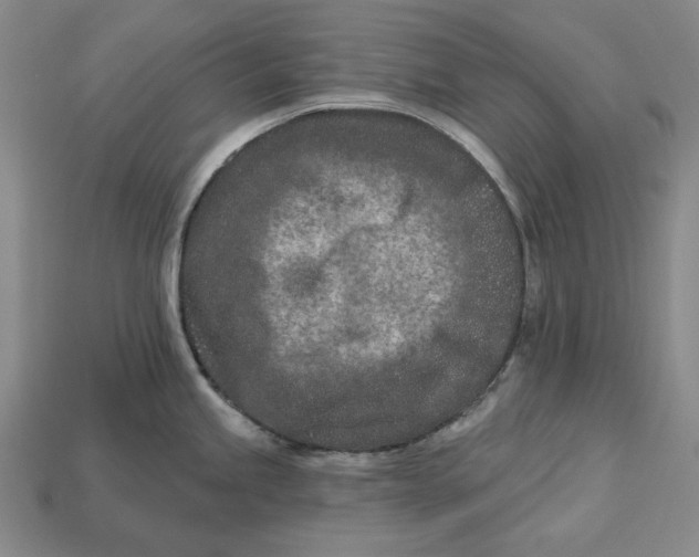 X0000113121245200909181642