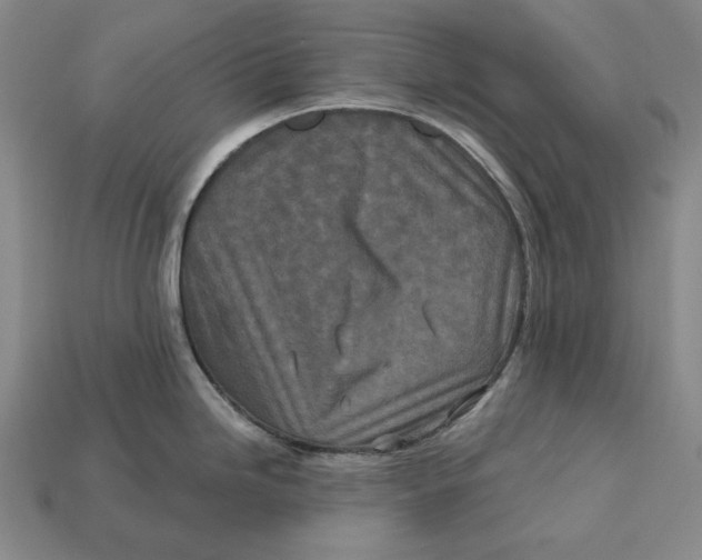 X0000113121246200909181642