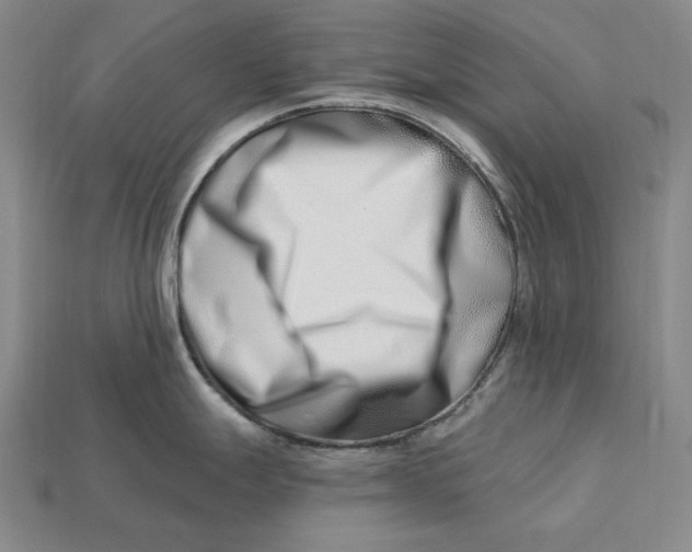 X0000113121247200909181642