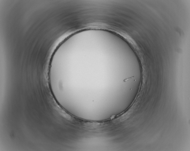 X0000113121248200909181642