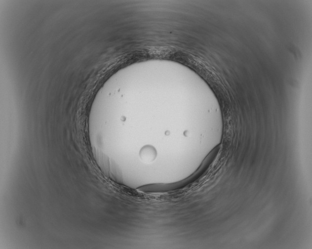 X0000113121249200909181642