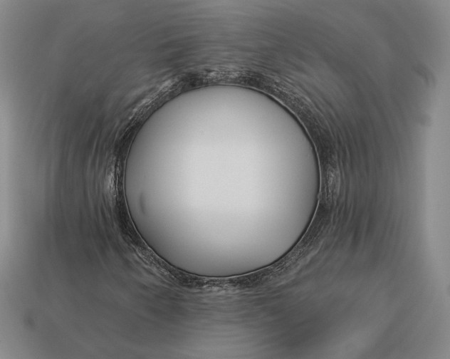 X0000113121250200909181642