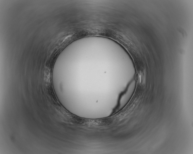 X0000113121251200909181642