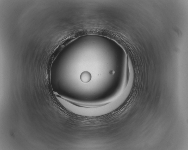 X0000113121252200909181642