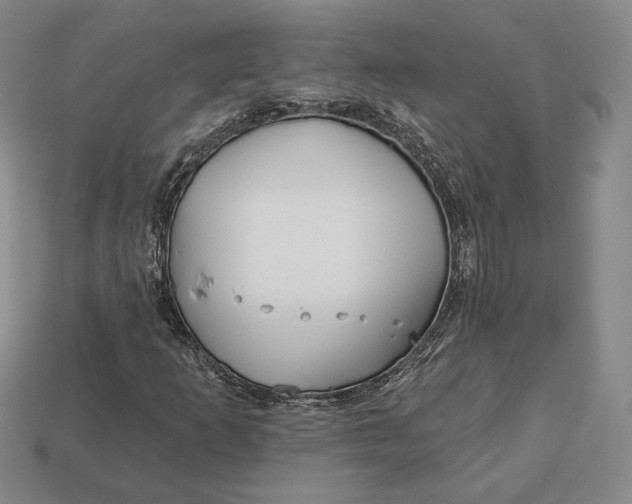 X0000113121253200909181642