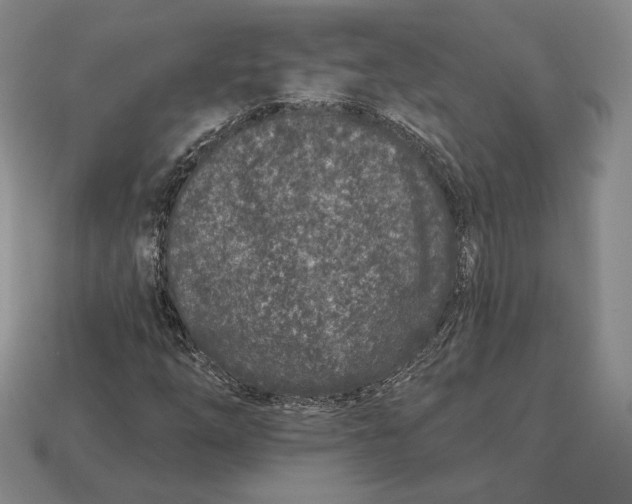 X0000113121254200909181642