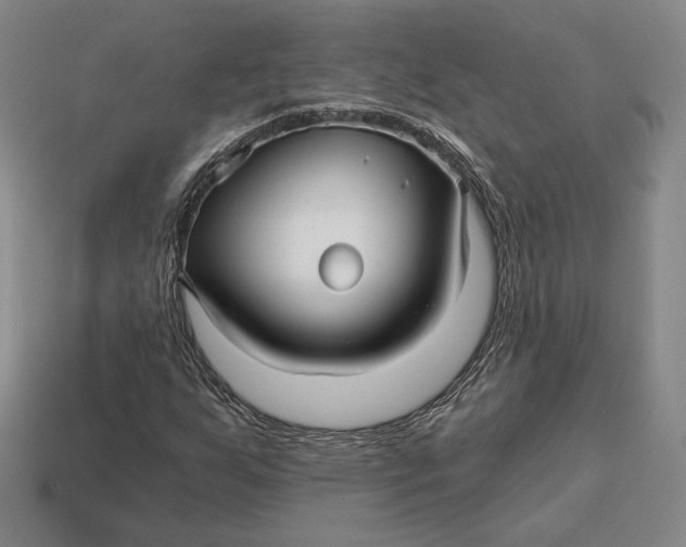 X0000113121255200909181641