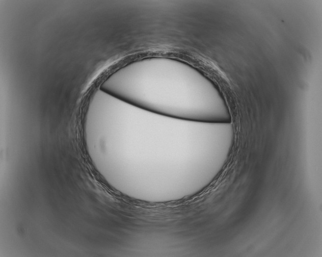 X0000113121256200909181641