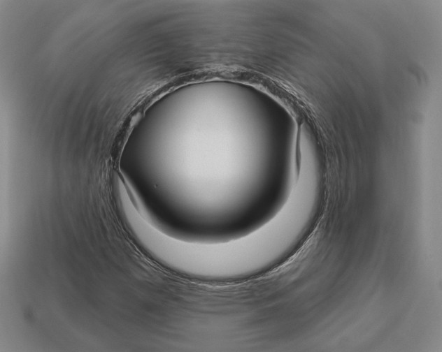 X0000113121257200909181641