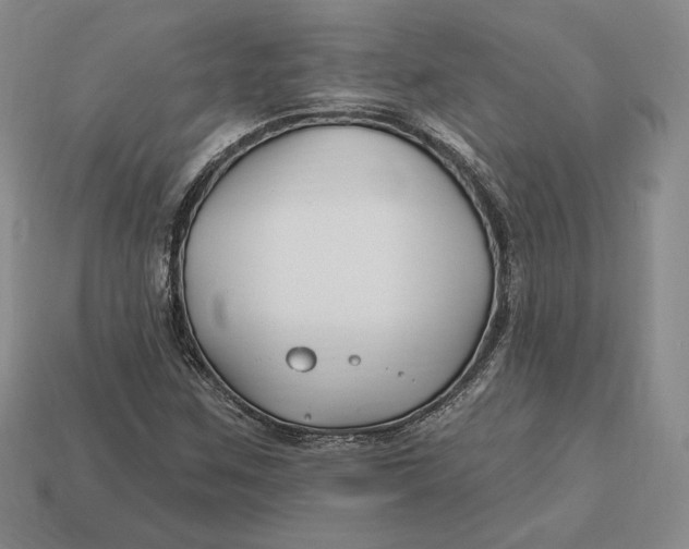 X0000113121259200909181641