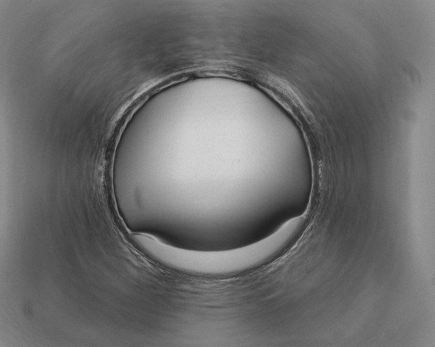 X0000113121260200909181641