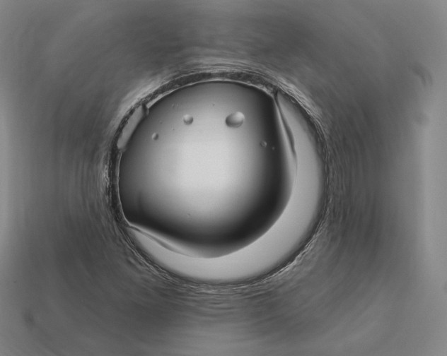 X0000113121261200909181641